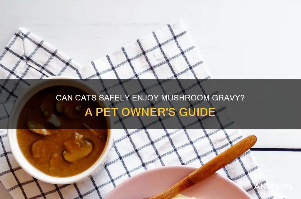 can cats eat mushroom gravy