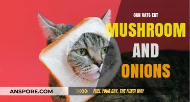 Can Cats Eat Mushrooms and Onions? Pet Safety Guide