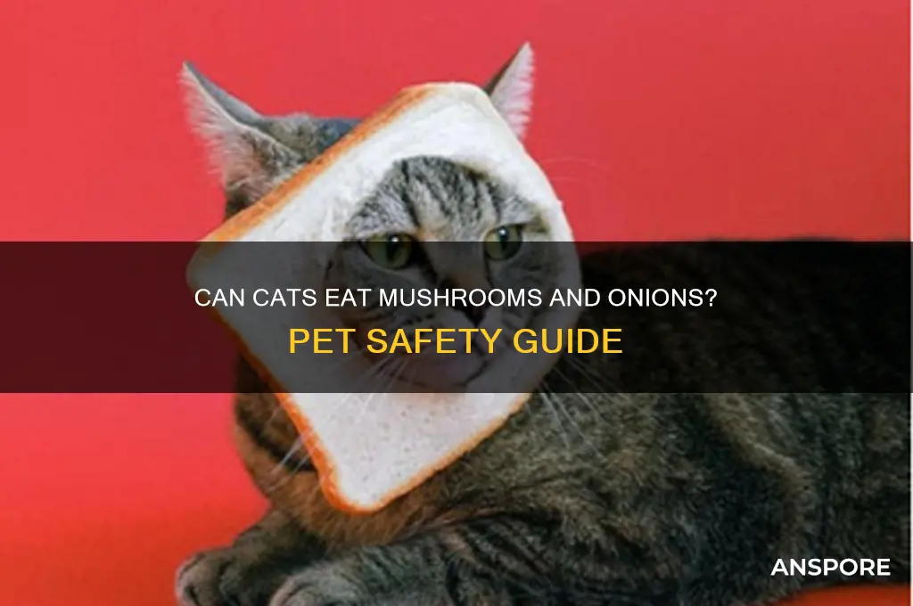 can cats eat mushrooms and onions