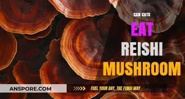 Can Cats Safely Eat Reishi Mushrooms? A Pet Owner's Guide