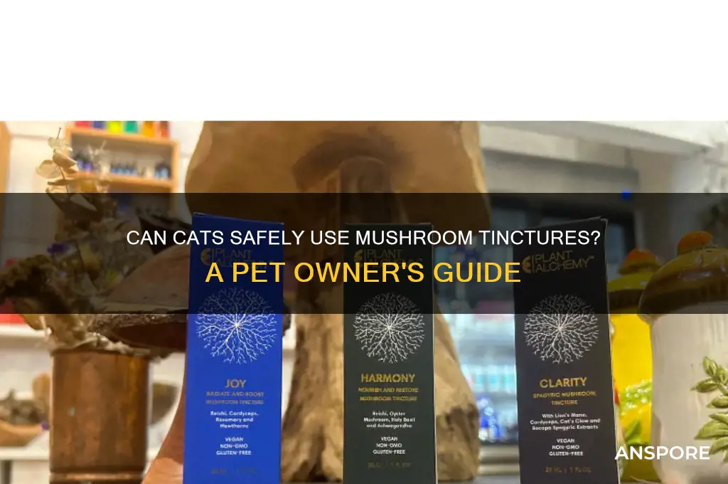 can cats use mushroom tincture