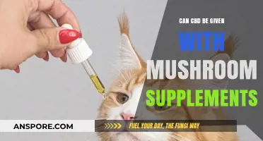 CBD and Mushroom Supplements: Safe Combination or Risky Mix?