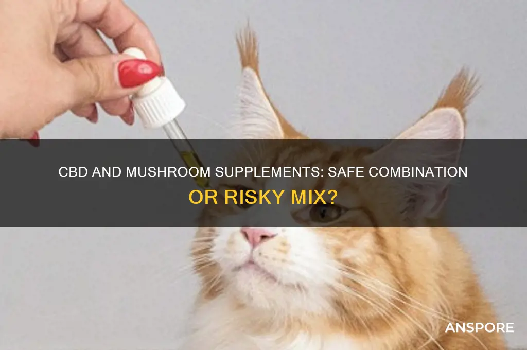 can cbd be given with mushroom supplements