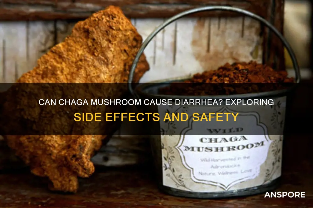 can chaga mushroom cause diarrhea