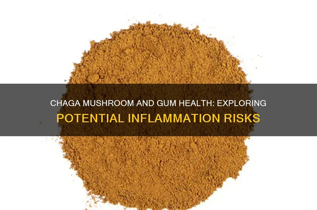 can chaga mushroom cause gum inflammation