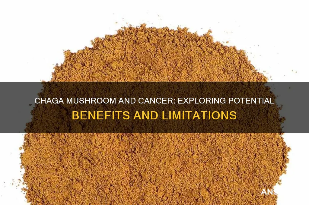 can chaga mushroom cure cancer