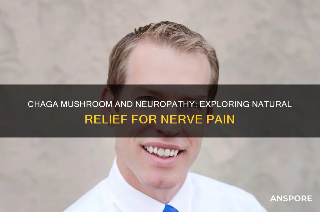 can chaga mushroom help neuropathy