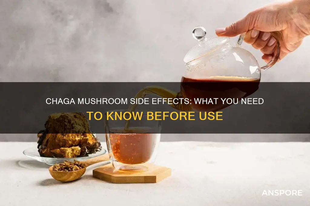 can chaga mushroom side effects