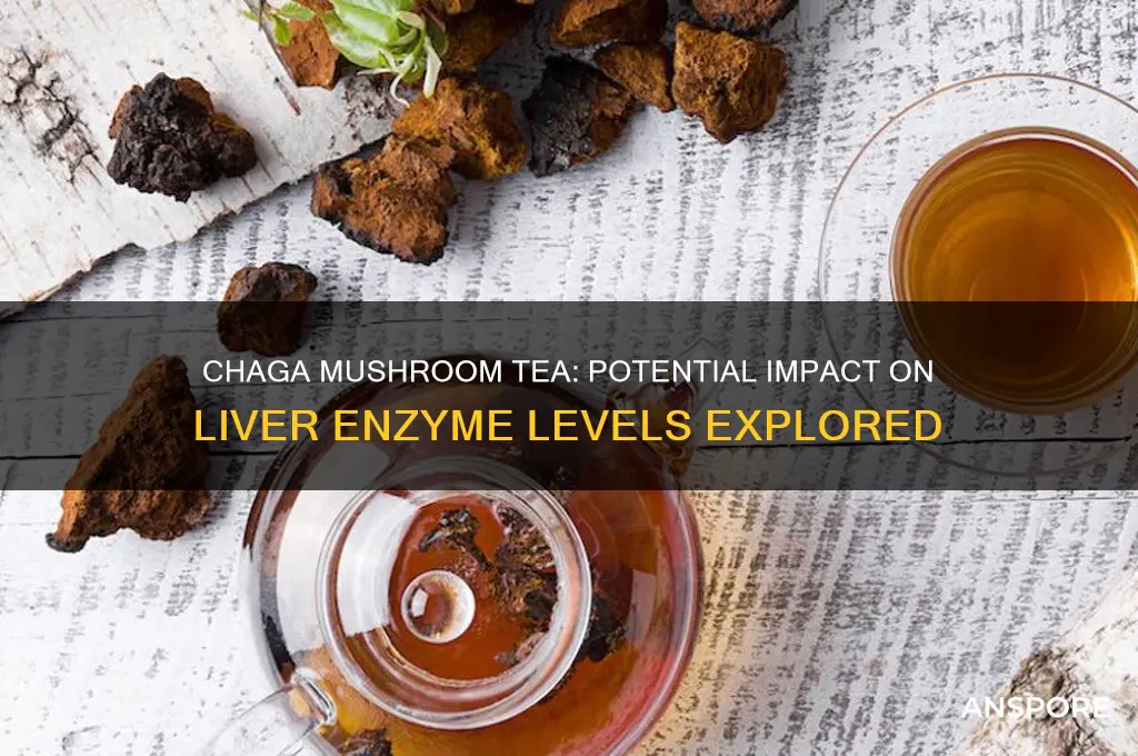 can chaga mushroom tea elevate liver enzymes