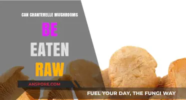 Can Chanterelle Mushrooms Be Eaten Raw? Safety and Tips