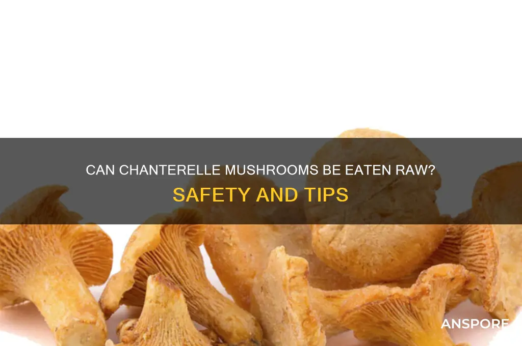 can chanterelle mushrooms be eaten raw
