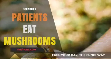 Mushrooms and Chemotherapy: Safe or Risky for Cancer Patients?
