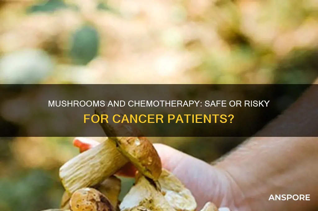 can chemo patients eat mushrooms