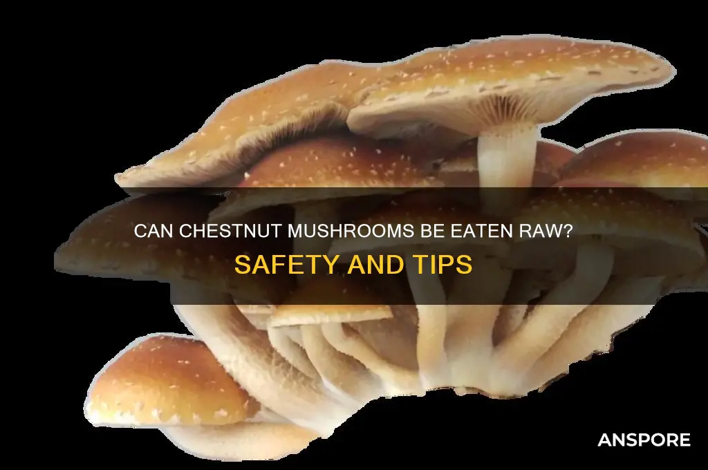 can chestnut mushrooms be eaten raw