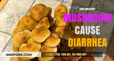 Chestnut Mushrooms and Diarrhea: Unraveling the Digestive Impact