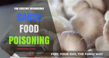 Can Chestnut Mushrooms Cause Food Poisoning? Facts and Risks Explained