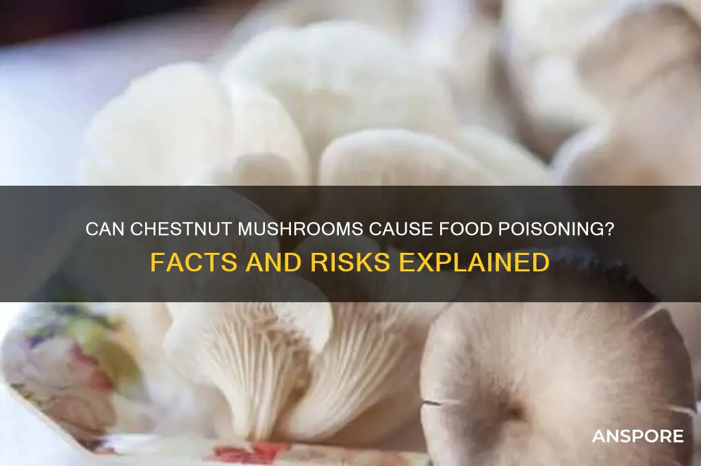 can chestnut mushrooms cause food poisoning