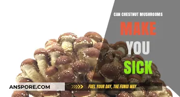 Can Chestnut Mushrooms Cause Illness? Facts and Safety Tips