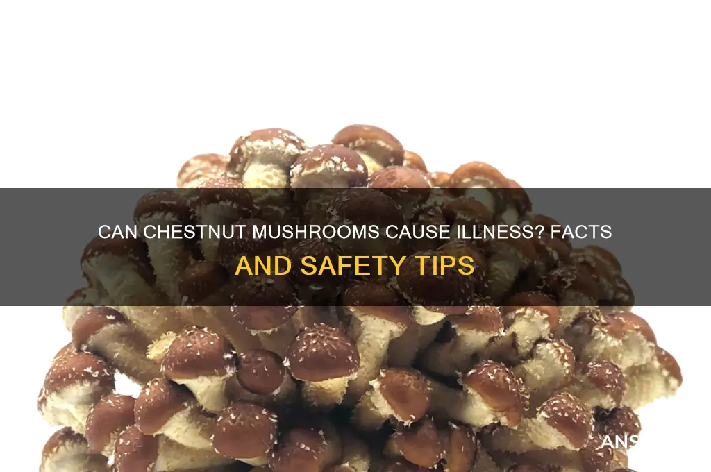 can chestnut mushrooms make you sick