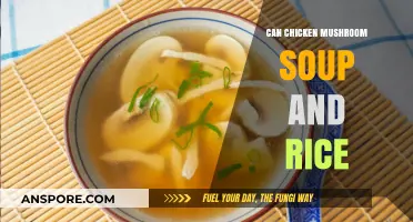 Comforting Chicken Mushroom Soup and Rice: A Hearty Meal Idea