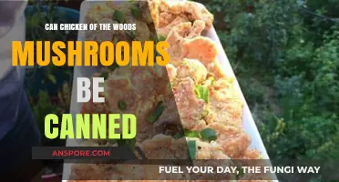 Canning Chicken of the Woods Mushrooms: A Safe and Tasty Guide