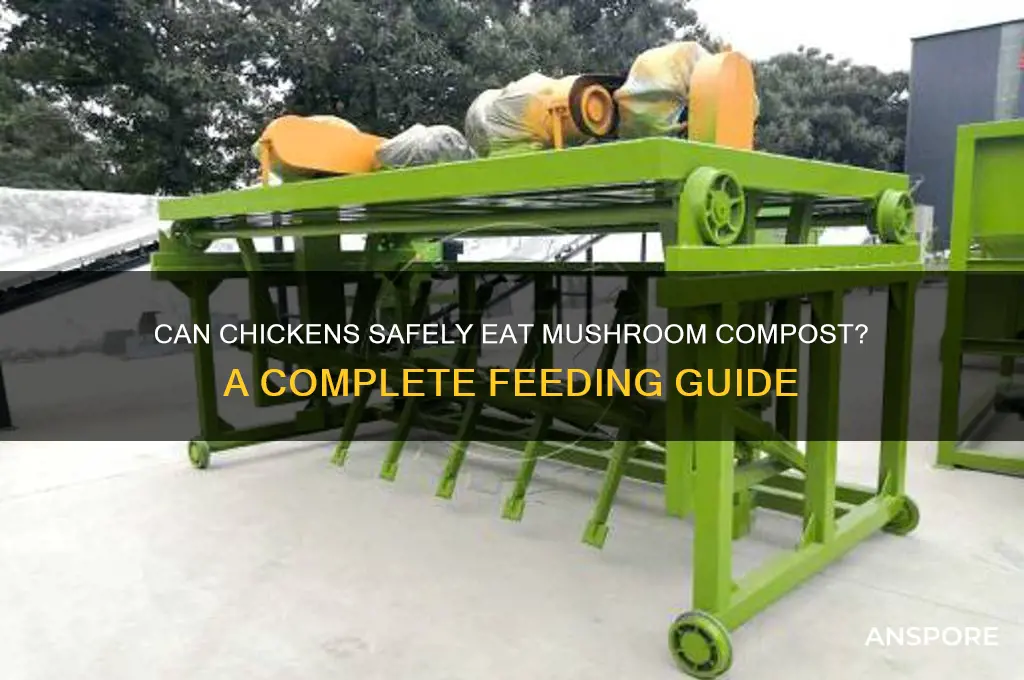 can chickens eat mushroom compost