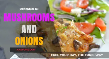 Chickens and Mushrooms, Onions: Safe or Harmful Diet Choices?
