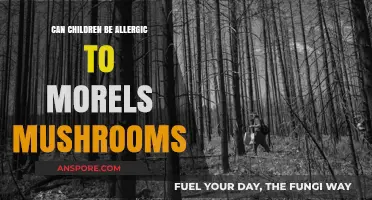 Can Kids Be Allergic to Morels? Exploring Mushroom Sensitivities