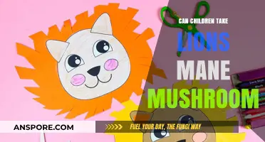 Is Lion's Mane Mushroom Safe for Kids? A Parent's Guide