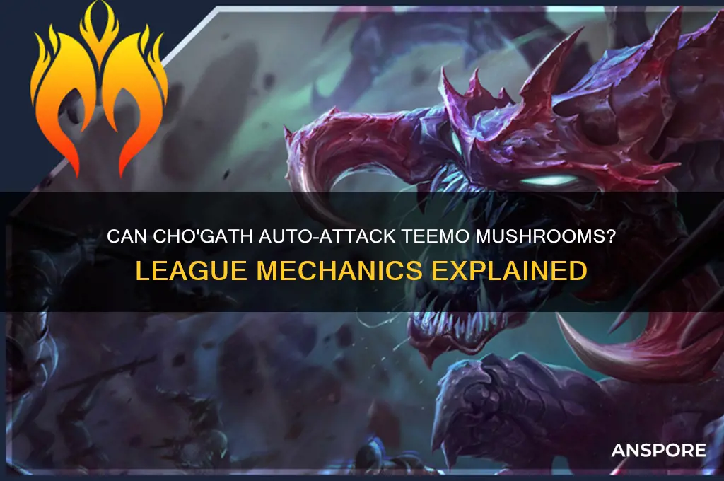 can cho still auto attack teemo mushrooms