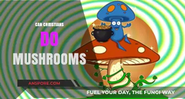 Can Christians Use Psilocybin Mushrooms? Exploring Faith and Psychedelics