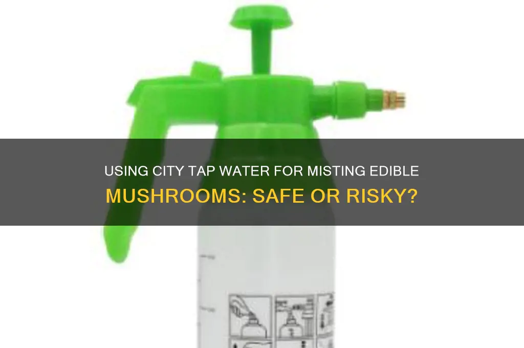 can city tap water be used to mist edible mushrooms