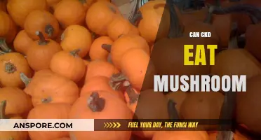 Can CKD Patients Safely Include Mushrooms in Their Diet?