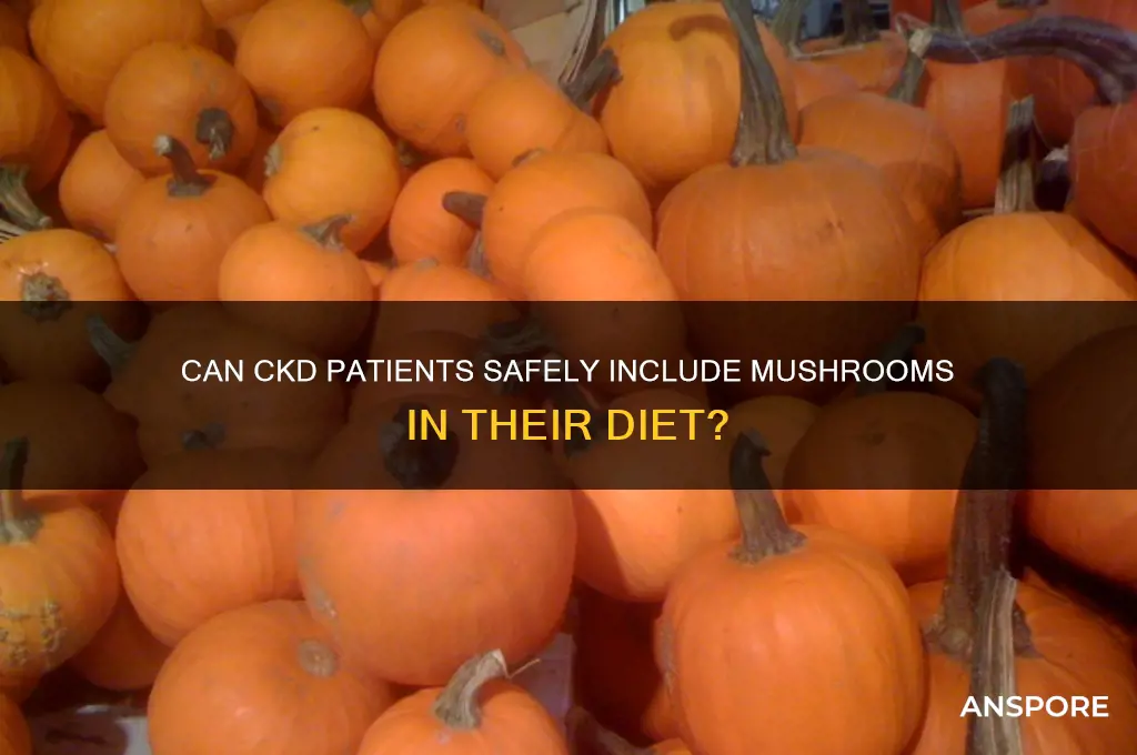 can ckd eat mushroom