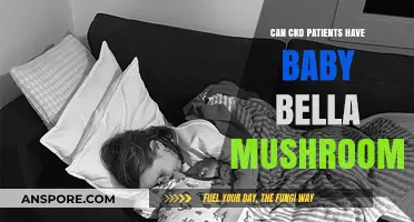 Baby Bella Mushrooms for CKD Patients: Safe or Risky?