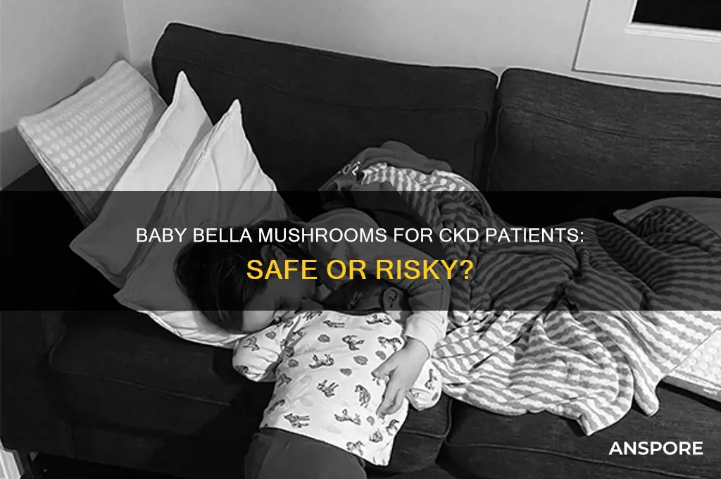can ckd patients have baby bella mushrooms