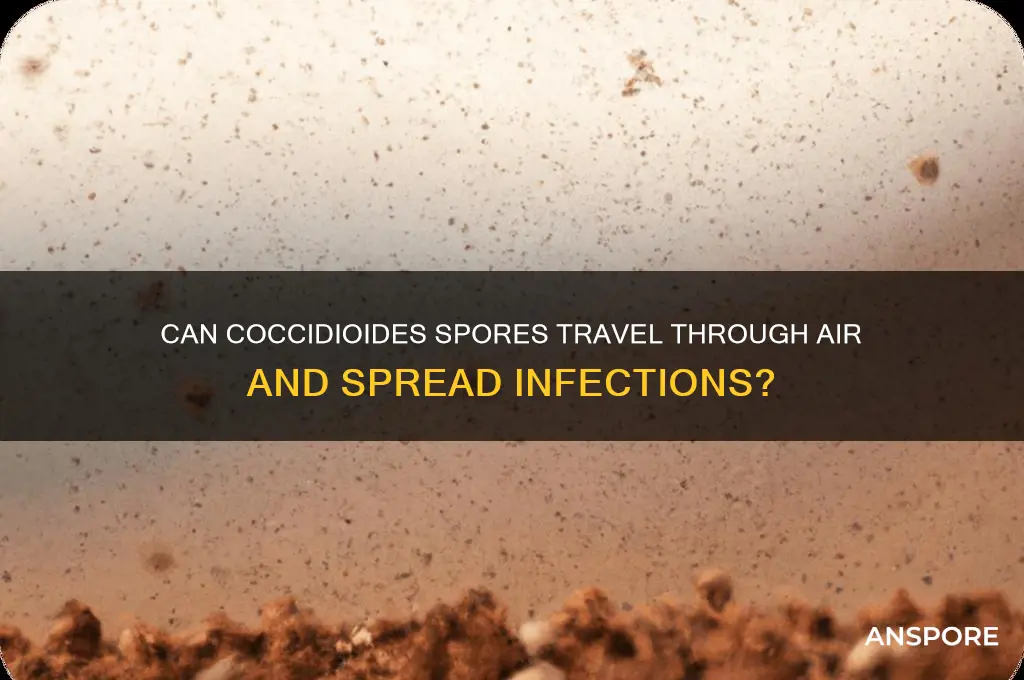 can coccidioides spores move