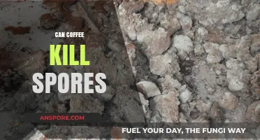 Can Coffee Kill Spores? Uncovering the Truth Behind This Claim