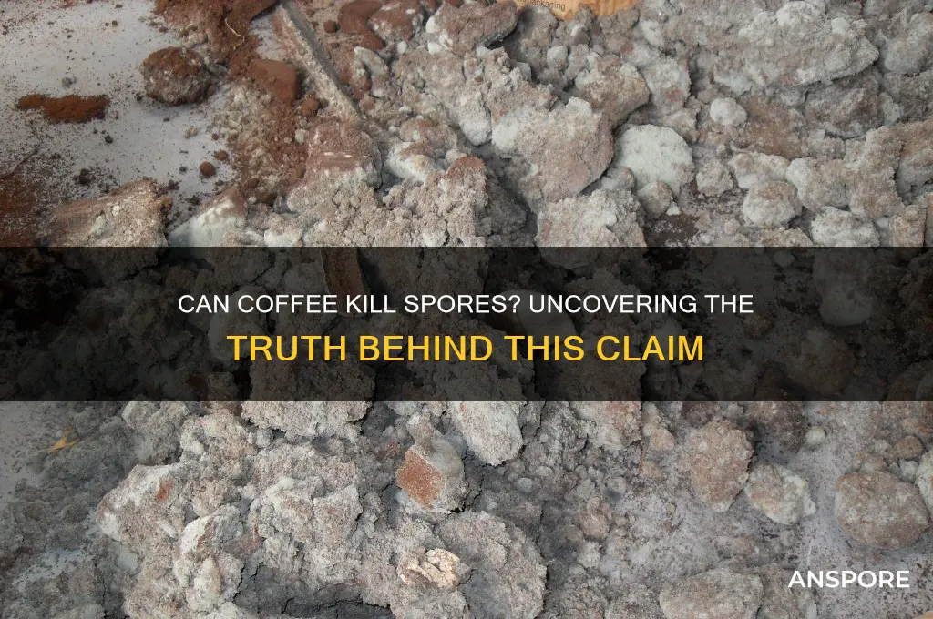 can coffee kill spores