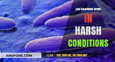 Can Coliforms Survive and Spore in Extreme Environmental Conditions?