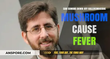 Hallucinogenic Mushroom Comedown: Understanding Fever Symptoms and Causes