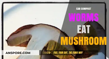 Can Compost Worms Safely Eat Mushrooms? A Complete Guide