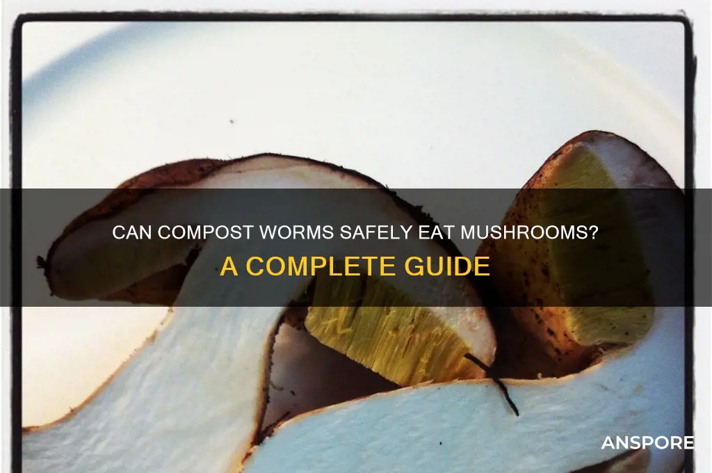 can compost worms eat mushrooms