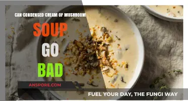 Does Condensed Cream of Mushroom Soup Expire? Shelf Life Explained