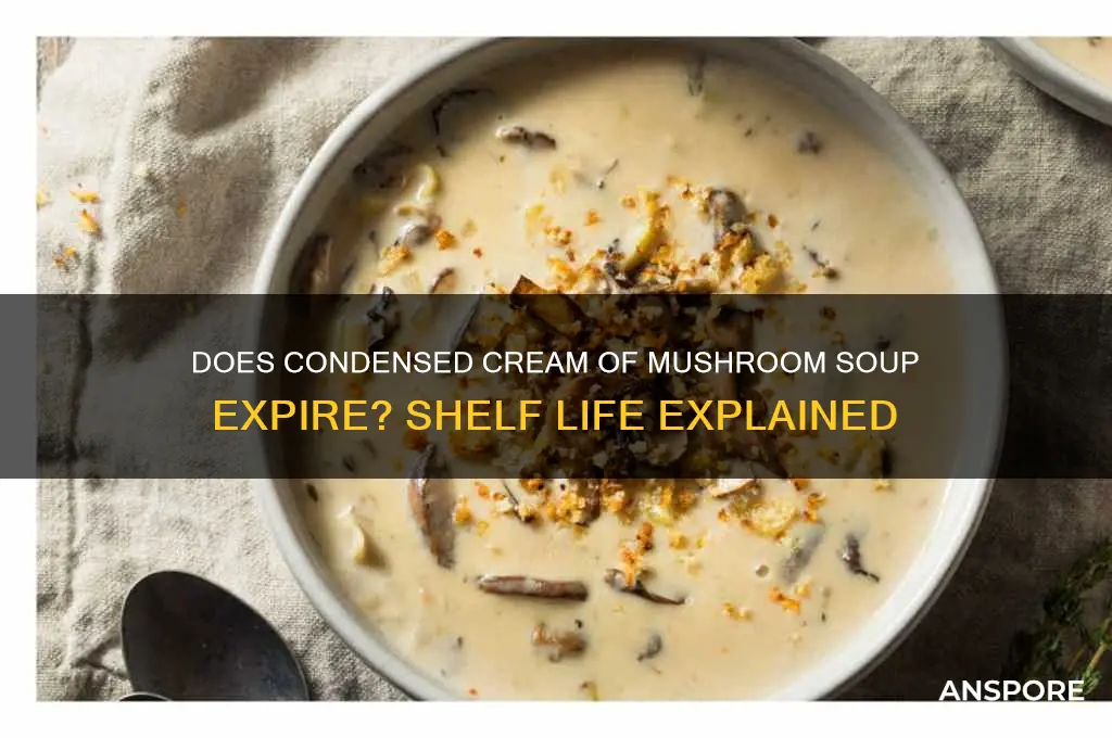 can condensed cream of mushroom soup go bad