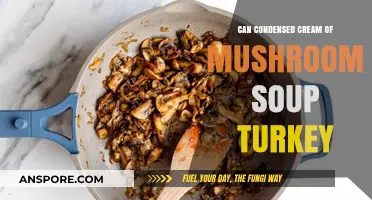 Cream of Mushroom Soup Turkey: A Condensed Recipe Guide
