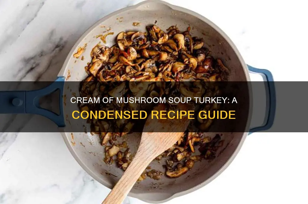 can condensed cream of mushroom soup turkey