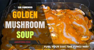 Can Condensed Golden Mushroom Soup Elevate Your Recipes?