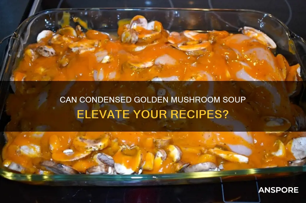 can condensed golden mushroom soup
