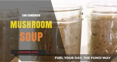 Can Condensed Mushroom Soup Elevate Your Quick Meals and Recipes?